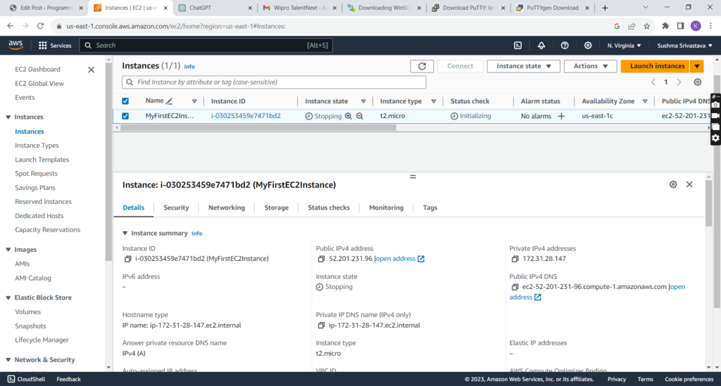 Stopping the Instance