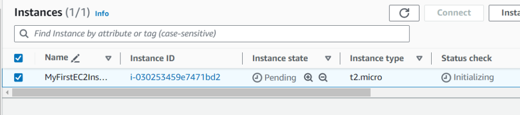 Starting the Instance Again