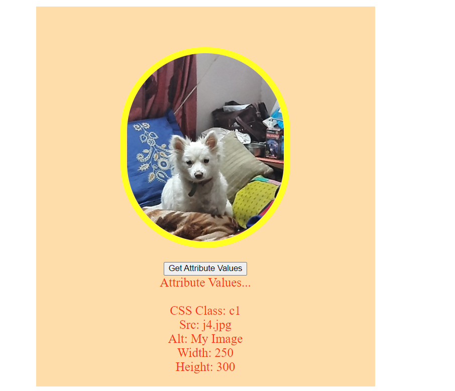 The Output of the  Example of the getAttribute() Method in JavaScript