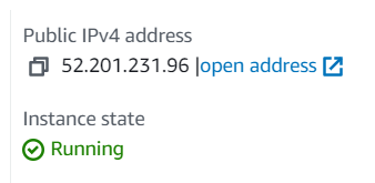 Public IPv4 Address of the Instance